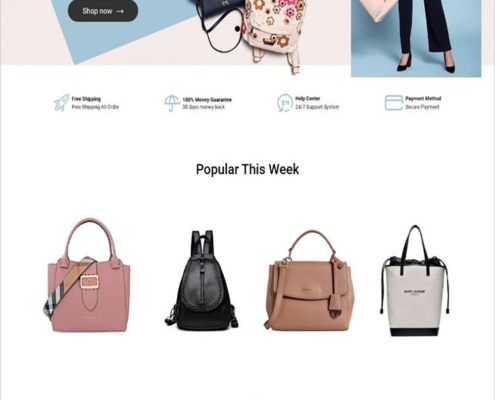bags-shoes-website-design3