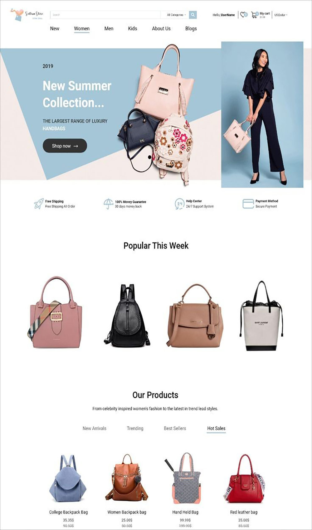 bags-shoes-website-design3