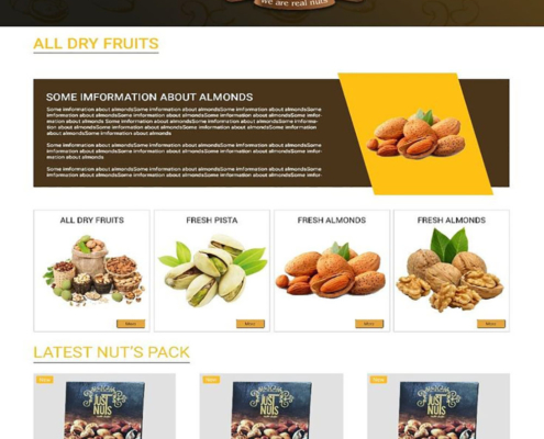 nuts-store-website-design-4 طراحی سایت فروشگاه لوازم خانگی