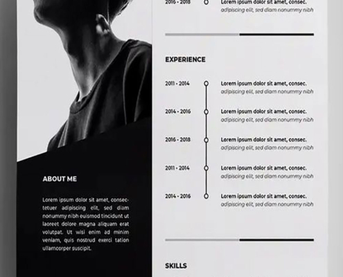 resume-design-2