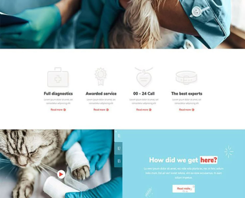 veterinary-clinic-website-design-2