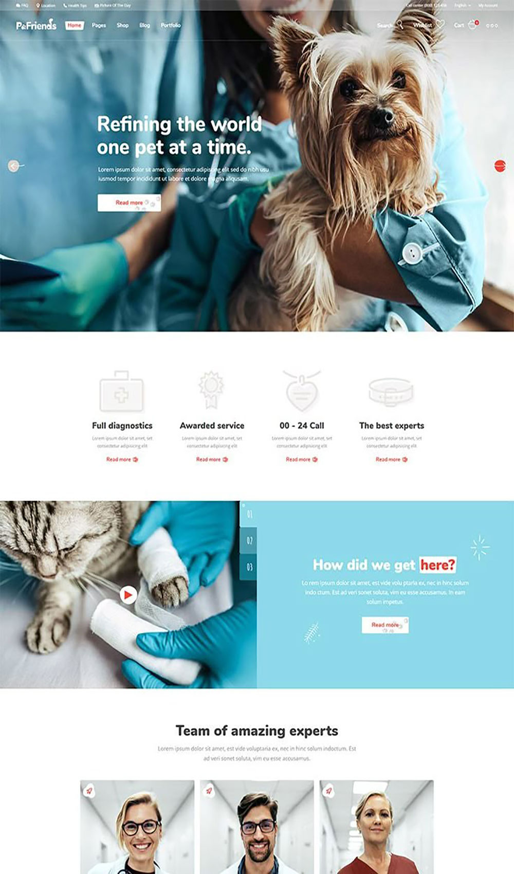 veterinary-clinic-website-design-2