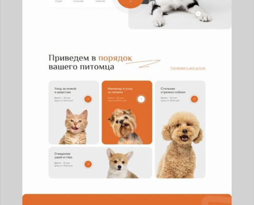 veterinary-clinic-website-design-4